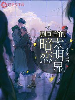 火龙冒险